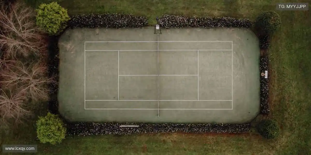 ⚡️ 速度与激情碰撞，